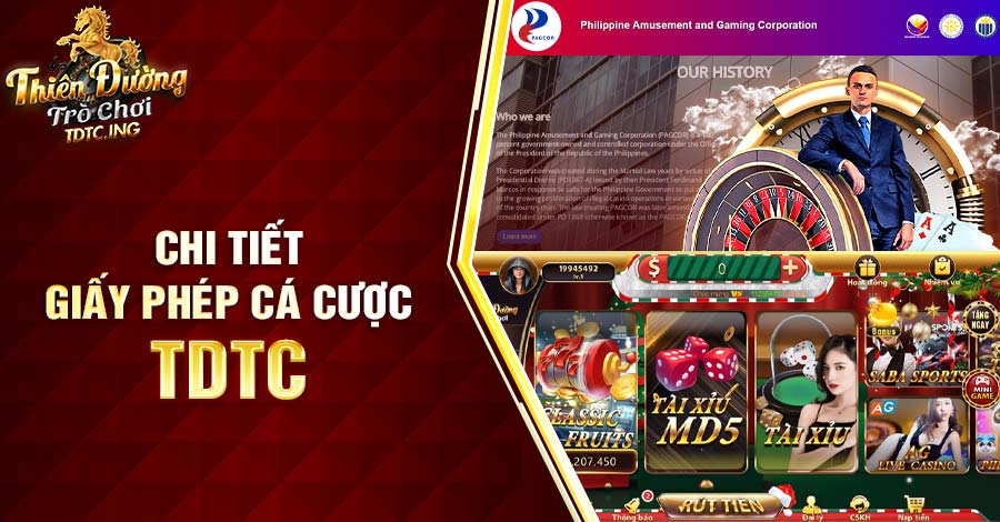 Chi tiết giấy phép cá cược tdtc