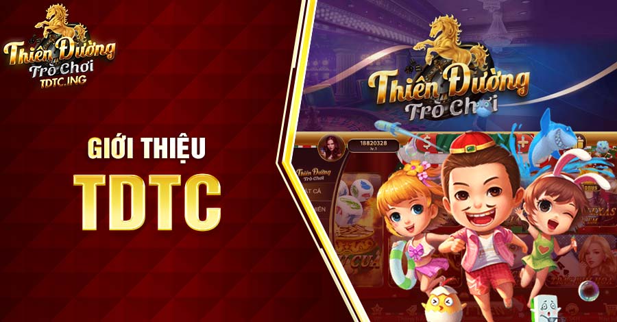Thông tin giới thiệu TDTC
