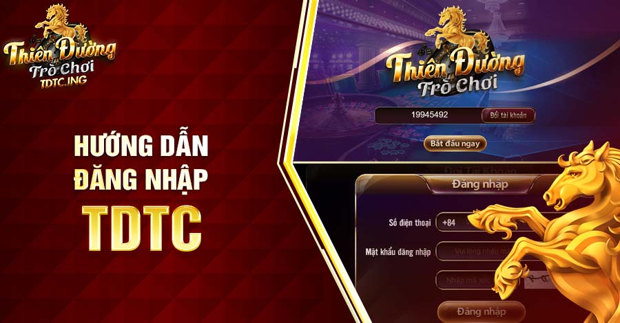 Hướng dẫn đăng nhập TDTC thành công